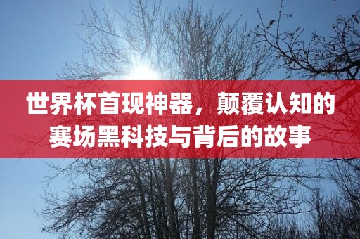 世界杯首现神器，颠覆认知的赛场黑科技与背后的故事眉山市正发家政服务有限公司
