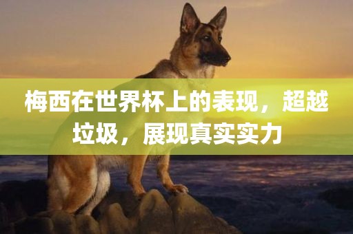 梅西在世界杯上的表现，超越垃圾，展现真实实力