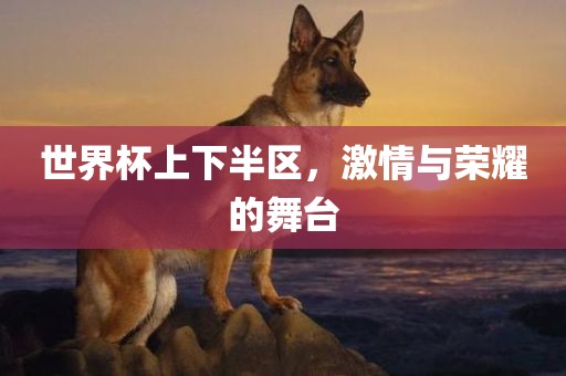 世界杯上下半区，激情与荣耀的舞台