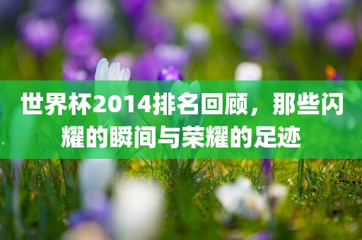 世界杯2014排名回顾，那些闪耀的瞬间与荣耀的足迹眉山市正发家政服务有限公司