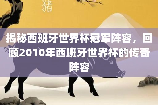 揭秘西班牙世界杯冠军阵容，回顾2010年西班牙世界杯的传奇阵容眉山市正发家政服务有限公司