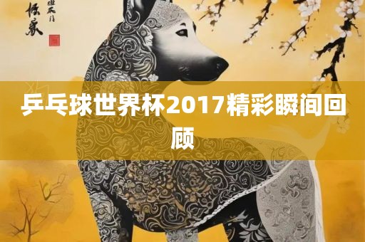 乒乓球世界杯2017精彩瞬间回顾