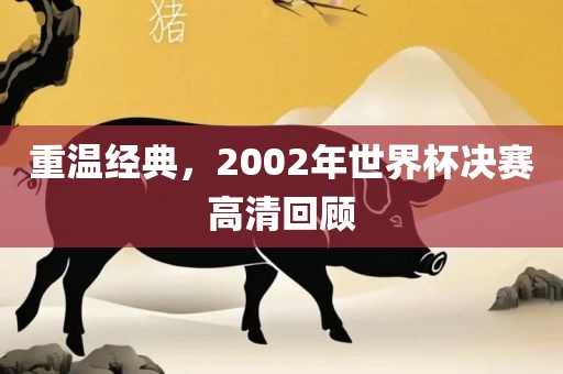 重温经典，2002年世界杯决赛高清回顾