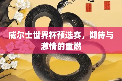威尔士世界杯预选赛，期待与激情的重燃