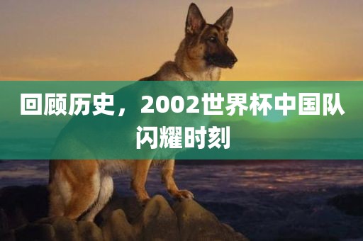回顾历史，2002世界杯中国队闪耀时刻