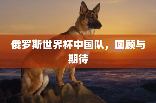 俄罗斯世界杯中国队眉山市正发家政服务有限公司，回顾与期待