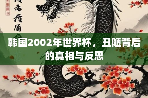 韩国2002年世界杯，丑陋背后的真相与反思眉山市正发家政服务有限公司