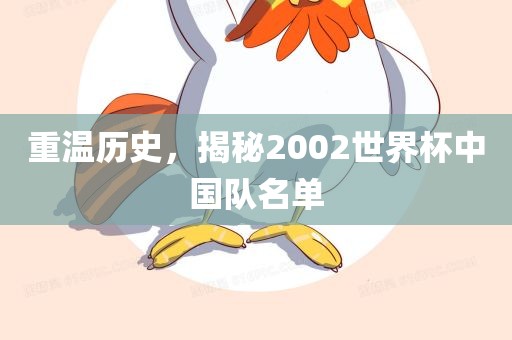 重温历史，揭秘2002世界杯中国队名单