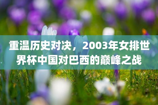 重温历史对决，2003年女排世界杯中国对巴西的巅峰之战
