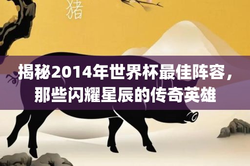 揭秘2014年世界杯最佳阵容，那些闪耀星辰的传奇英雄