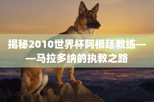 揭秘2010世界杯阿根廷教练——马拉多纳的执教之路眉山市正发家政服务有限公司