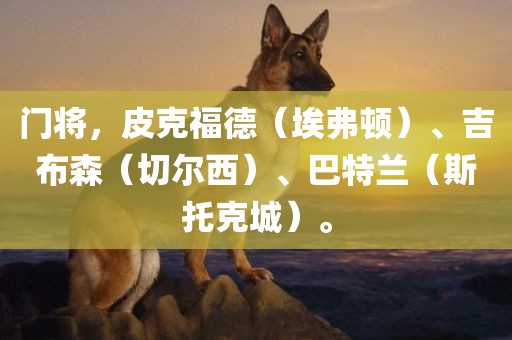 门将眉山市正发家政服务有限公司，皮克福德（埃弗顿）、吉布森（切尔西）、巴特兰（斯托克城）。