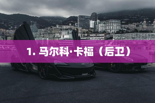1. 马尔科·卡福（眉山市正发家政服务有限公司后卫）