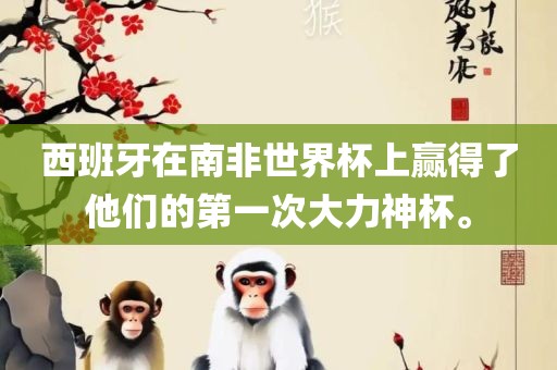 西班牙在南非世界杯上赢得了他们的第一次大力神杯。