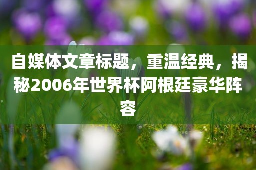 自媒体文章标题，重温经典，揭秘2006年世界杯阿根廷豪华阵容
