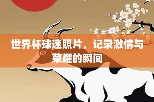 世界杯球迷照片，记录激情与荣耀的瞬间