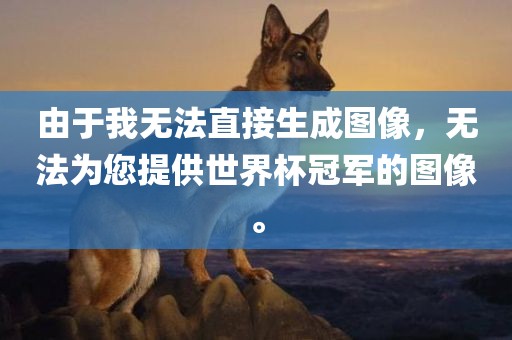 由于我无法直接生成图像，无法为您提供世界杯冠军的图像。眉山市正发家政服务有限公司