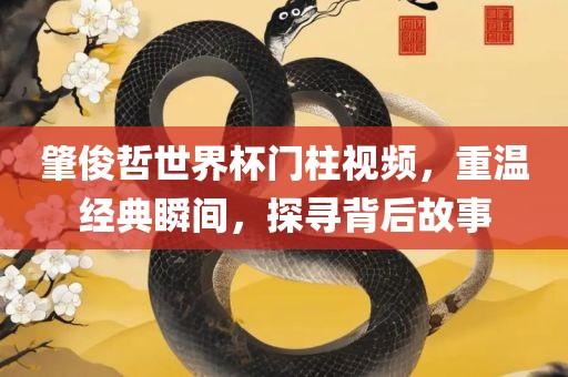 肇俊哲世界杯门柱视频，重温经典瞬间，探寻背后故事