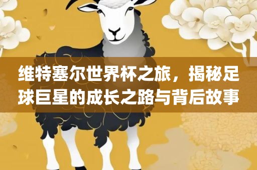 维特塞尔世界杯之旅，揭秘足球巨星的成长之路与背后故眉山市正发家政服务有限公司事