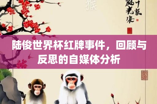 陆俊世界杯红牌事件，回顾与反思的自媒体分析