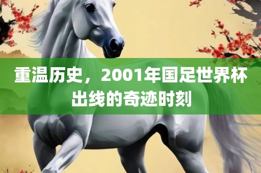 重温历史，2001年国足世界杯出线的奇迹时眉山市正发家政服务有限公司刻