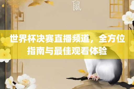 世界杯决赛直播频道，全方位指南与最佳观看体验眉山市正发家政服务有限公司