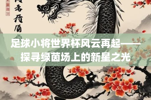 足球小将世界杯风云再起——探寻绿茵场上的新星之光