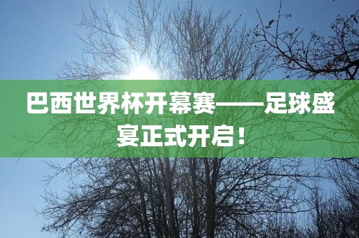 巴西世界杯开幕赛——足球盛宴正式开启！眉山市正发家政服务有限公司