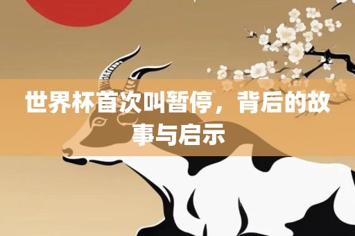 世界杯首次叫暂停，背后的故事与启示