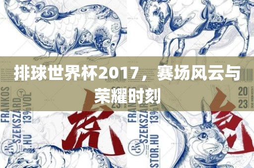 排球世界杯2017，赛场风云与荣耀时刻眉山市正发家政服务有限公司