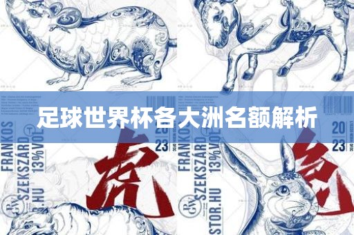 足球世界杯各大洲名额解析