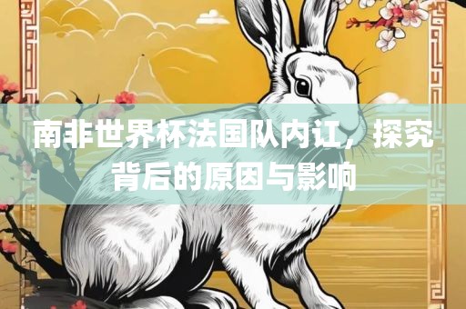 南非世界杯法国队内讧，探究背后的原因与影响眉山市正发家政服务有限公司