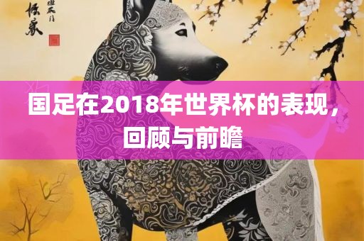 国足在2018年世界杯的表现，回顾与前瞻