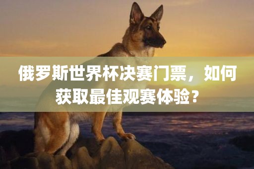 俄罗斯世界杯决赛门票，如何获取最佳观赛体验？