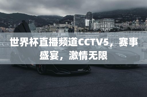 世界杯直播频道CCTV5，赛事盛宴，激情无限