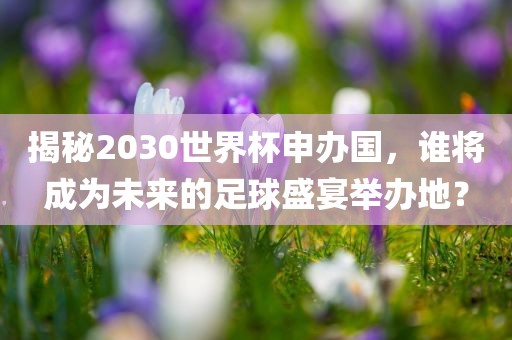 揭秘2030世界杯申办国，谁将成为未来的足球盛宴举办地？