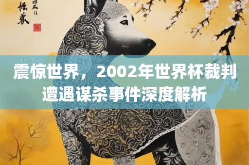 震惊世界，2002年世界杯裁判遭遇谋杀事件深度解析