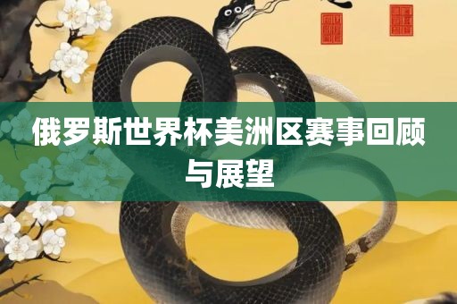 俄罗斯世界杯美洲区赛事回顾与展望