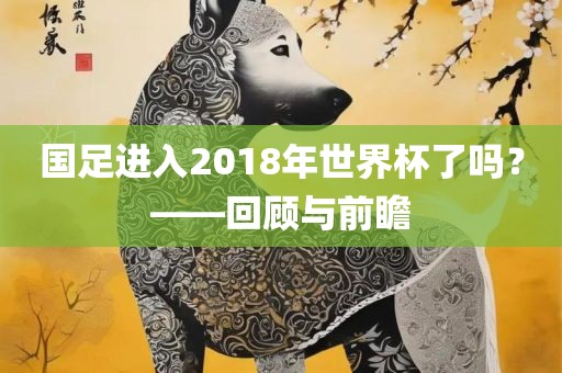 国足进入2018年世界杯了吗？——回顾与前瞻