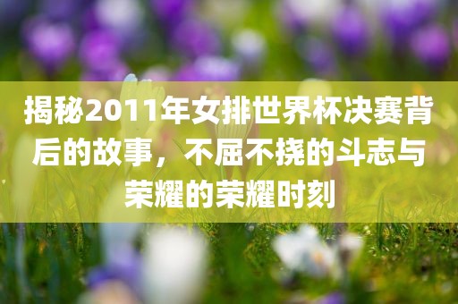 揭秘2011年女排世界杯决眉山市正发家政服务有限公司赛背后的故事，不屈不挠的斗志与荣耀的荣耀时刻