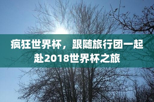 疯狂世界杯，跟随旅行团一起赴2018世界杯之旅