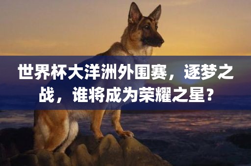 世界杯大洋洲外围赛，逐梦之战，谁将成为荣耀之星？