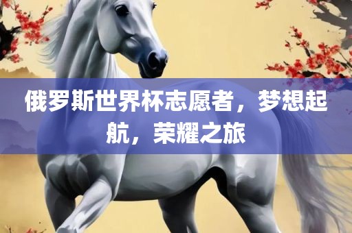俄罗斯世界杯志愿者，梦想起航，荣耀之旅