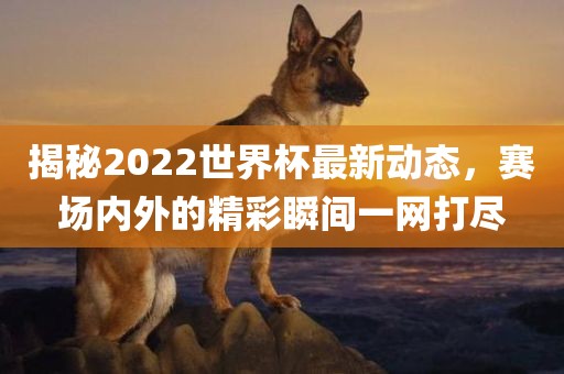 揭秘2022世界杯最新动态，赛场内外的精彩瞬间一网打尽眉山市正发家政服务有限公司