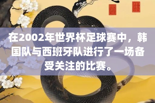 在2002年世界杯足球赛中，韩国队与西班牙队进行了一场备受关注的比赛。