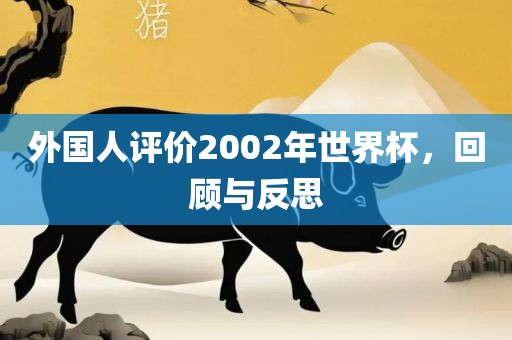 外国人评价2002年世界杯，回顾与反思