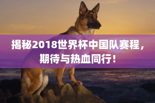 揭秘2018世界杯中国队赛程，期待与热血同行！眉山市正发家政服务有限公司