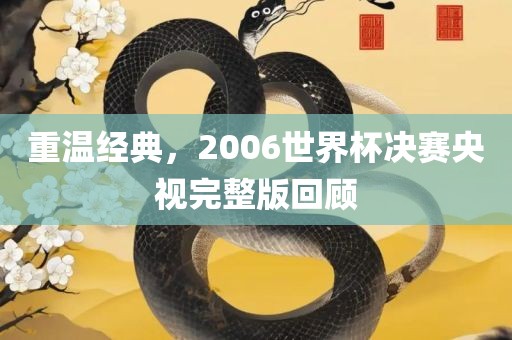 重温经典，2006世界杯决赛央视完整版回顾