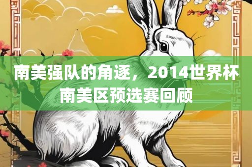 南美强队的角逐，2014世界杯南美区预选赛回顾