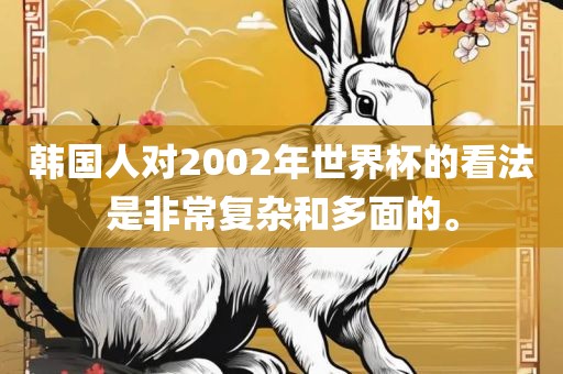 韩国人对2002年世界杯的看法是非常复杂和多面的。